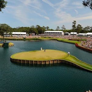 Meet your Posher, Tate